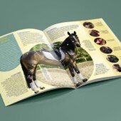 Les chevaux / Livre Grande Imagerie